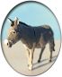 Preview: Esel, Modellbahnfigur handbemalt, Spur 0 (Null), 1:45
