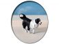 Preview: Hund Hütehund, Modellbahnfigur handbemalt, Spur 0 (Null), 1:45