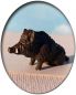 Preview: Keiler Wildschwein sitzend, Modellbahnfigur handbemalt, Spur 0 (Null), 1:45