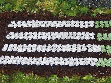 Preview: Rotkohl-Pflanzen, 440 Stück, Spur H0, 1:87