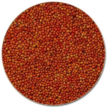 Äpfel rot, 50g, Spur H0, 1:87