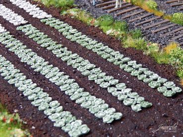 Preview: Weisskohl-Pflanzen, 220 Stück, Spur H0, 1:87