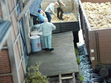 Preview: Zuckerrüben einzeln, natur/braun, 100g, Spur 0 (Null), 1:45 Preview: Zuckerrüben einzeln, natur/braun, 100g, Spur 0 (Null), 1:45