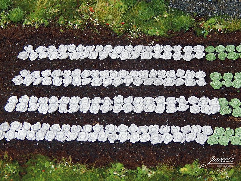 Rotkohl-Pflanzen, 440 Stück, Spur H0, 1:87