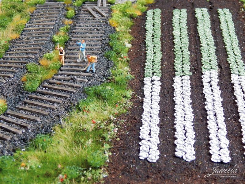 Rotkohl-Pflanzen, 220 Stück, Spur H0, 1:87