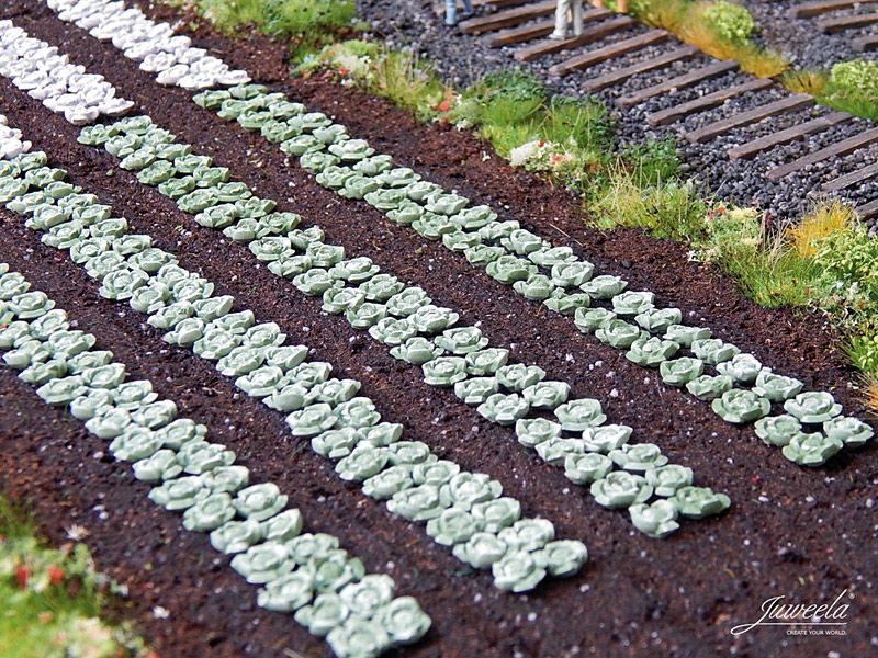 Weisskohl-Pflanzen, 220 Stück, Spur H0, 1:87