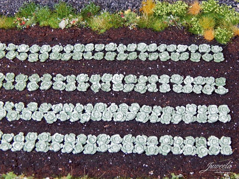 Weisskohl-Pflanzen, 220 Stück, Spur H0, 1:87